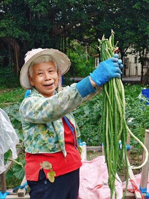 食農教育攝影競賽第一名-大明高中的林千淳得獎作品。圖片